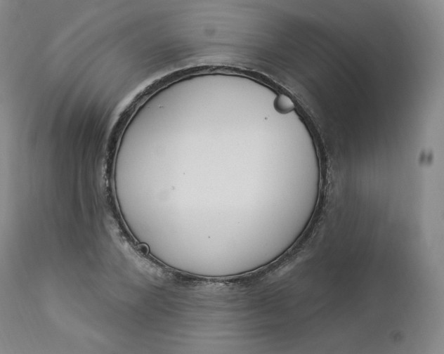 X0000112860880200909041550