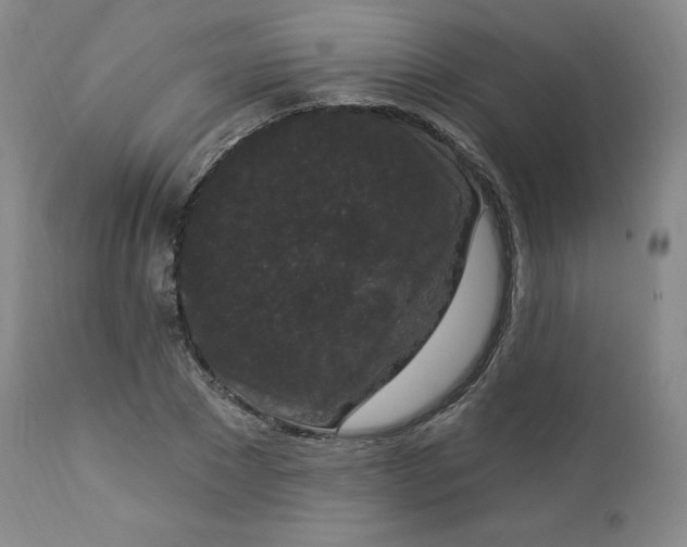 X0000112860881200909041550