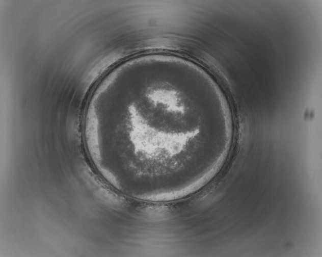 X0000112860882200909041550