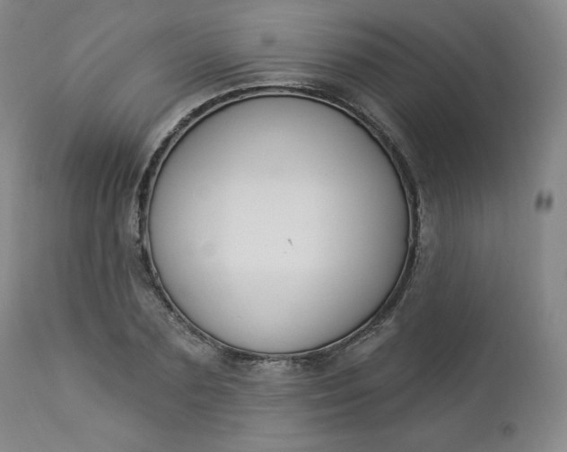 X0000112860883200909041550