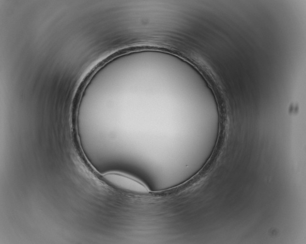 X0000112860884200909041550
