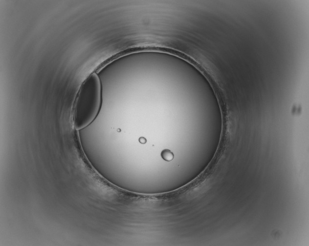 X0000112860885200909041550