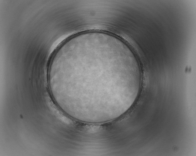 X0000112860886200909041550