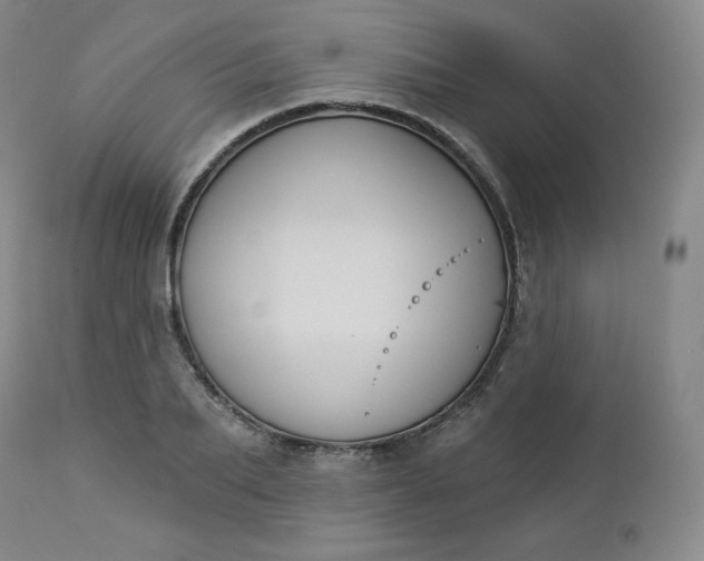 X0000112860887200909041550