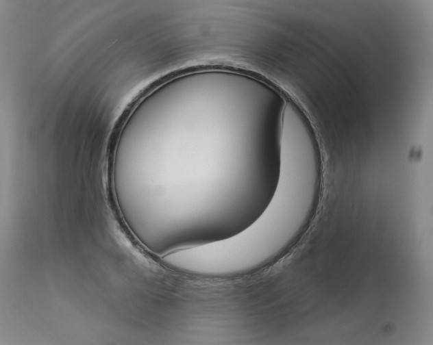 X0000112860888200909041550