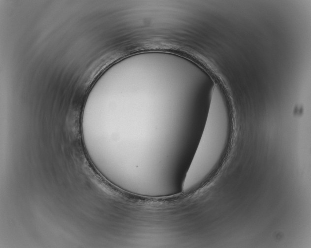 X0000112860889200909041550