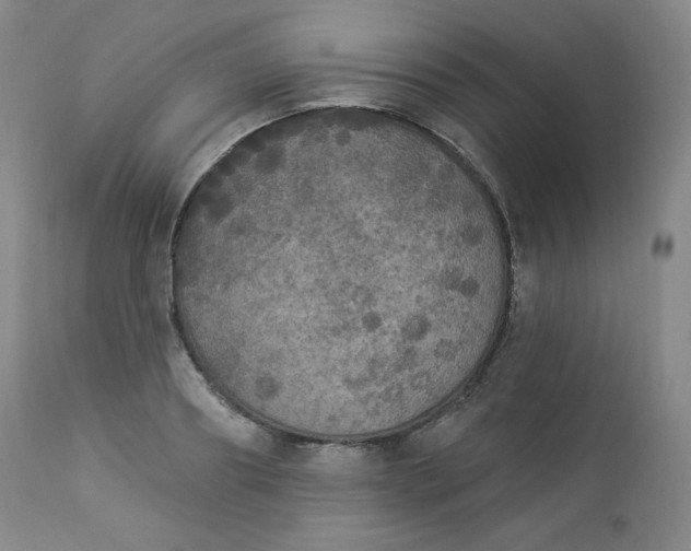 X0000112860890200909041550