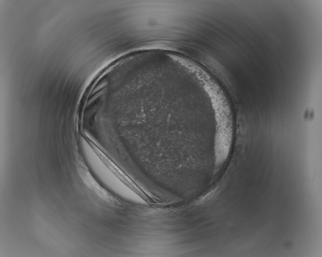 X0000112860892200909041550
