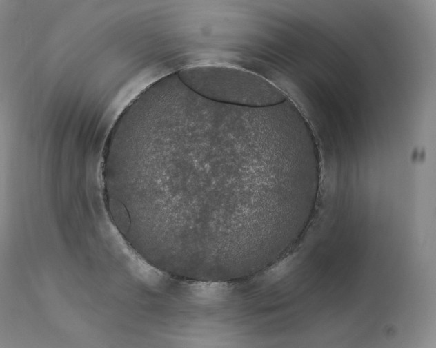 X0000112860893200909041550