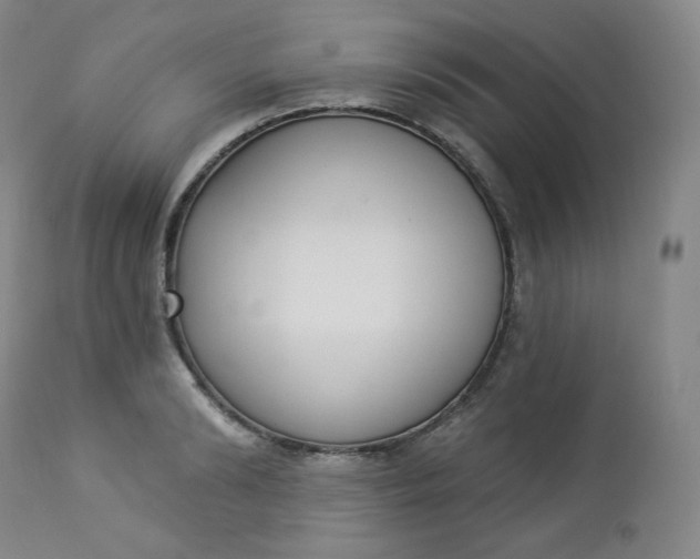 X0000112860894200909041550