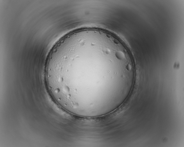 X0000112860895200909041550