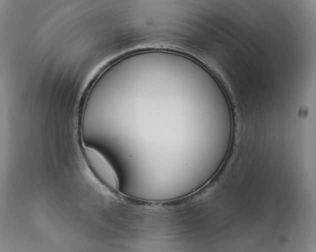 X0000112860896200909041550