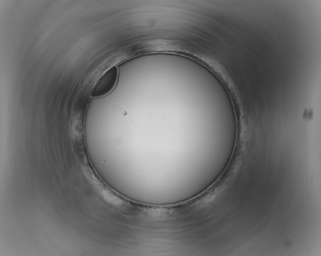 X0000112860897200909041550