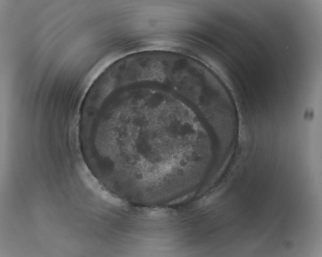 X0000112860899200909041550