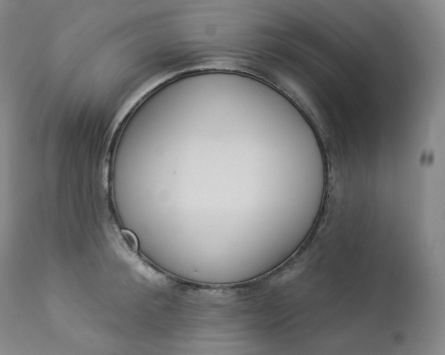 X0000112860900200909041550