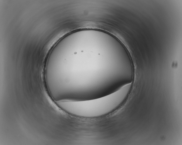 X0000112860901200909041550