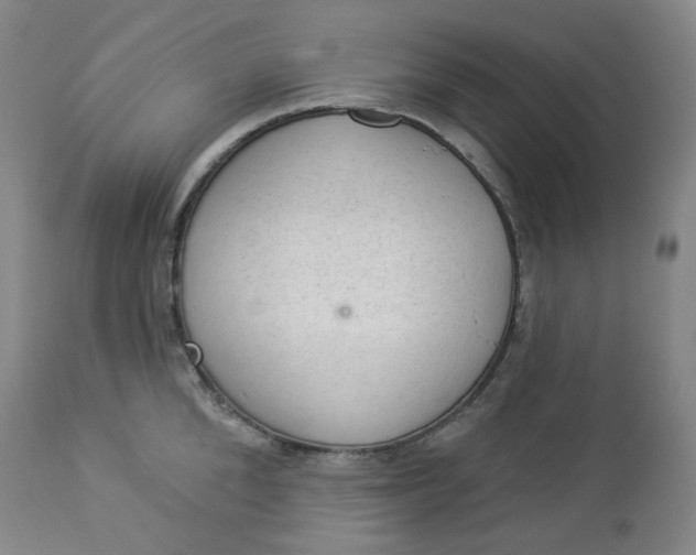 X0000112860904200909041550