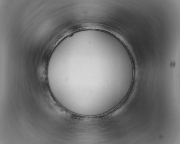 X0000112860905200909041550