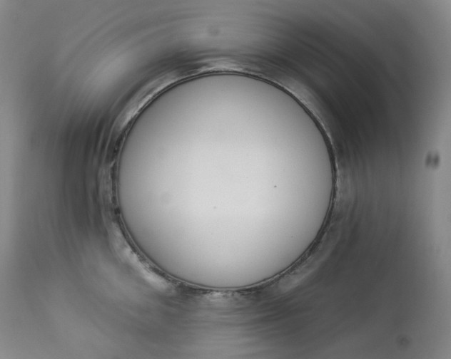 X0000112860906200909041550