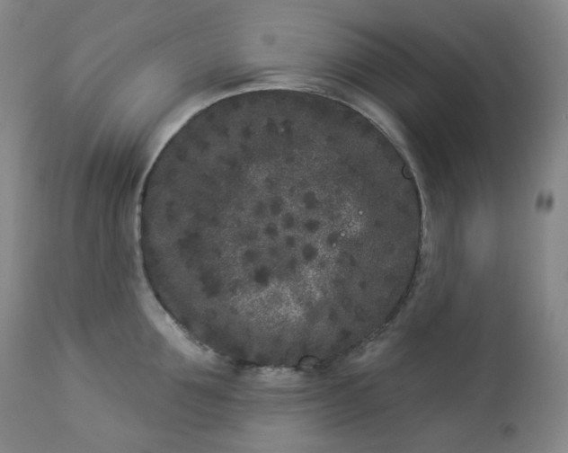 X0000112860907200909041550