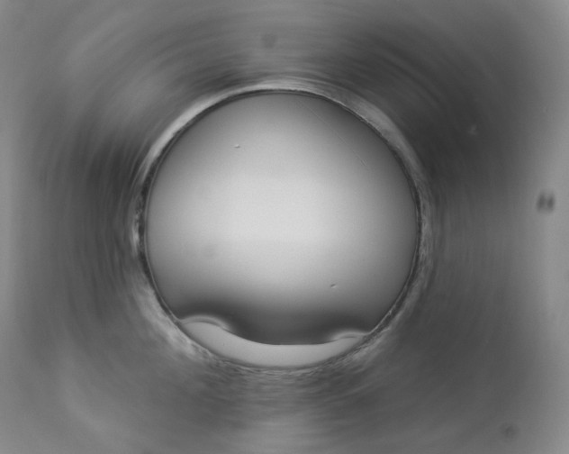 X0000112860908200909041550