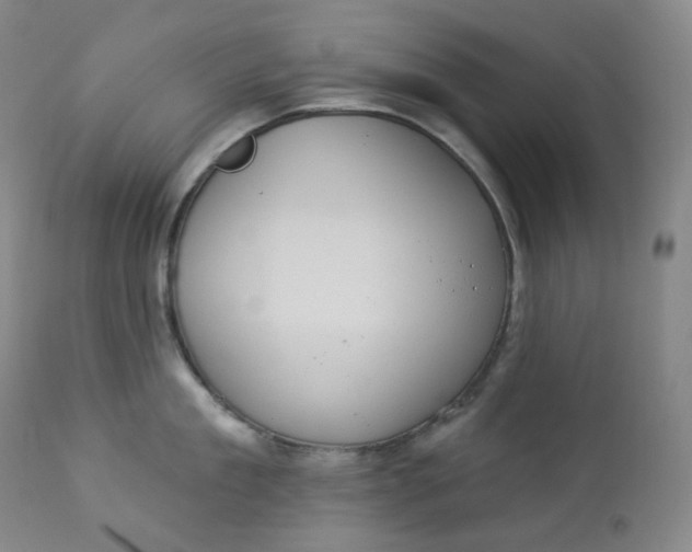 X0000112860909200909041550