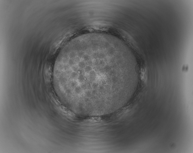 X0000112860915200909041549