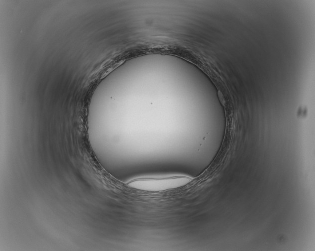 X0000112860916200909041549