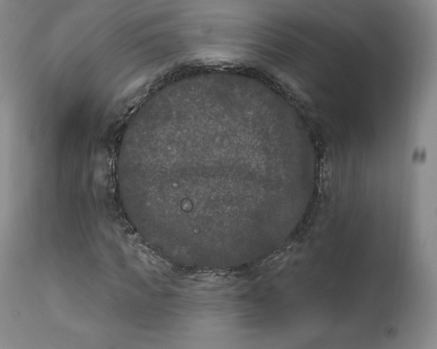 X0000112860917200909041549