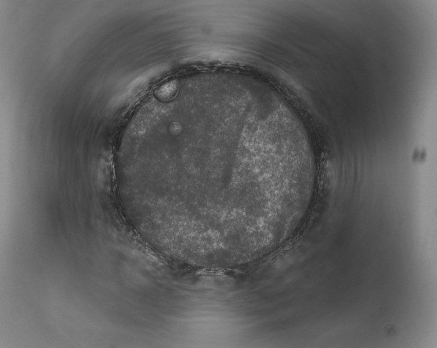 X0000112860918200909041549