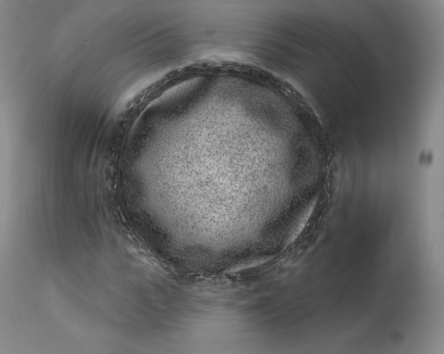 X0000112860919200909041549