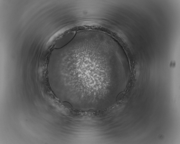 X0000112860920200909041549