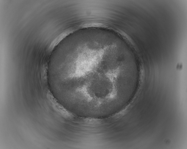 X0000112860921200909041549