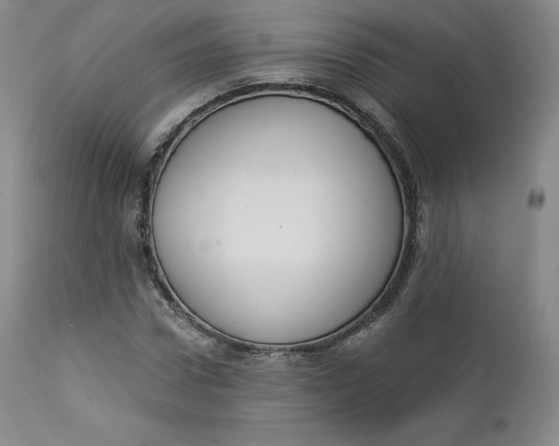X0000112860922200909041549