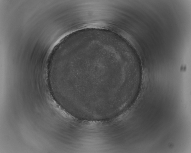 X0000112860923200909041549