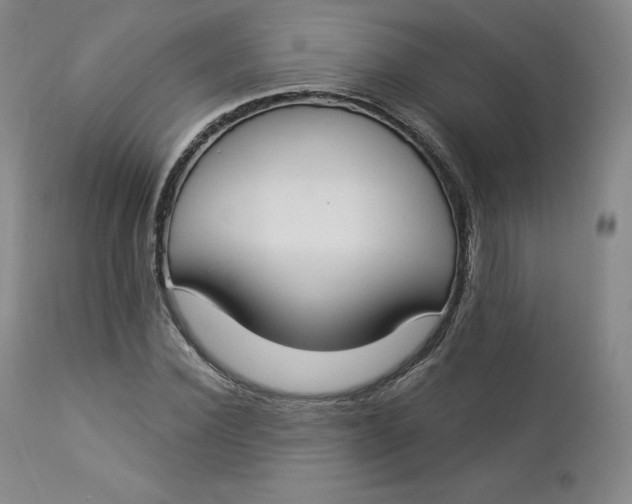X0000112860924200909041549