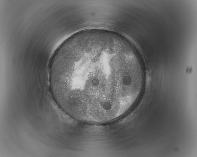 X0000112860925200909041549