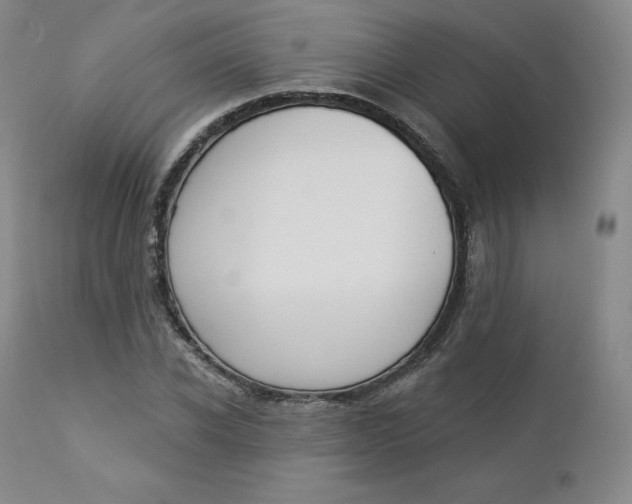 X0000112860926200909041549