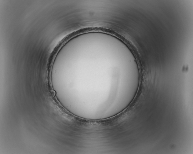 X0000112860927200909041549