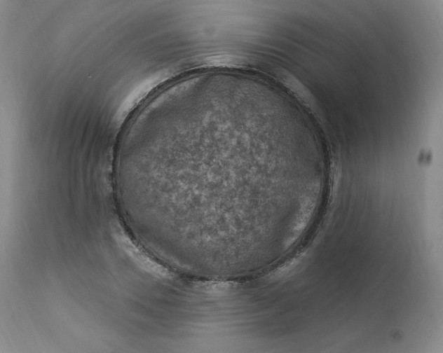 X0000112860930200909041549