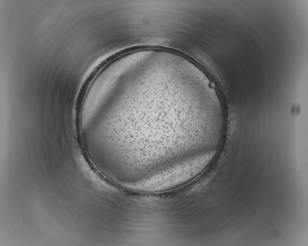 X0000112860932200909041549