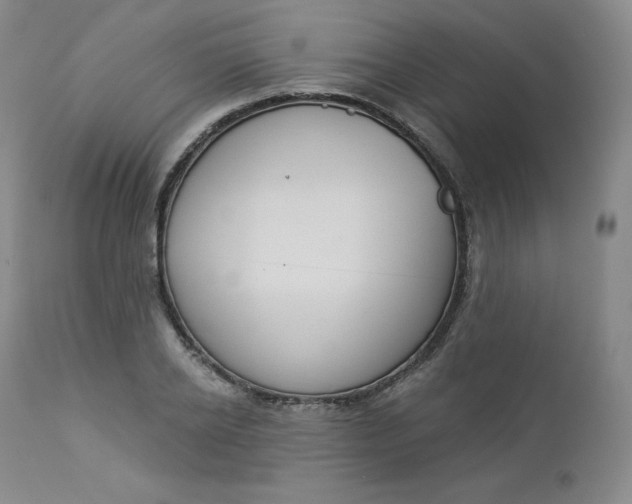 X0000112860934200909041549