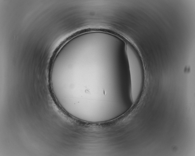 X0000112860935200909041549