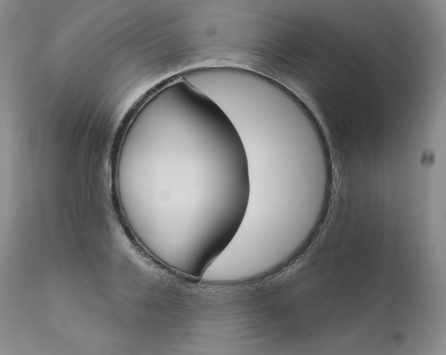 X0000112860936200909041550