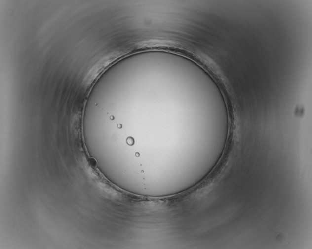 X0000112860937200909041550