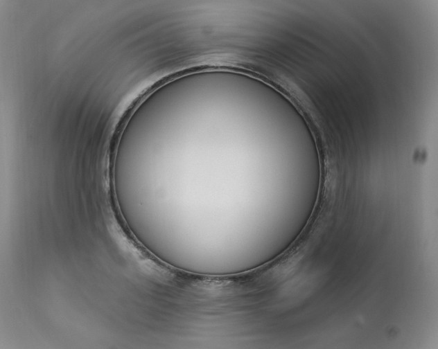 X0000112860939200909041550
