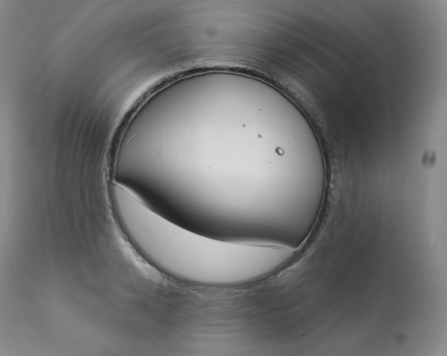 X0000112860942200909041550