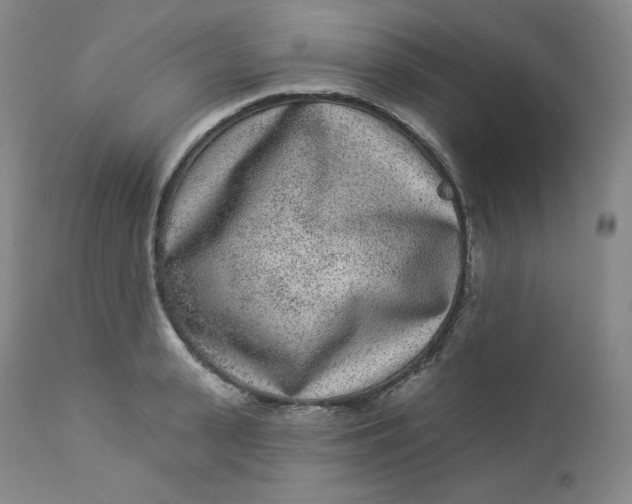 X0000112860943200909041550