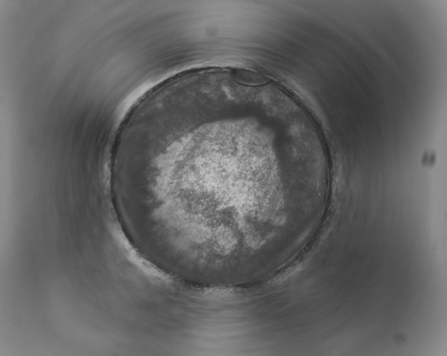 X0000112860944200909041550