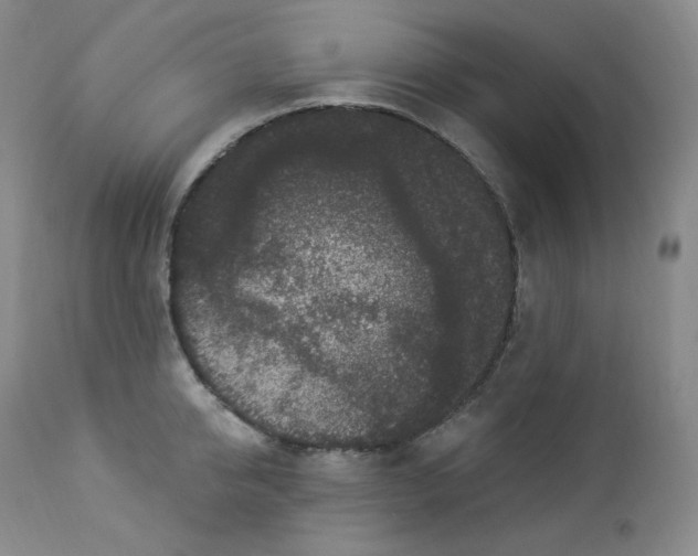 X0000112860950200909041550